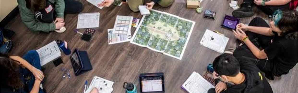DnD & Minis