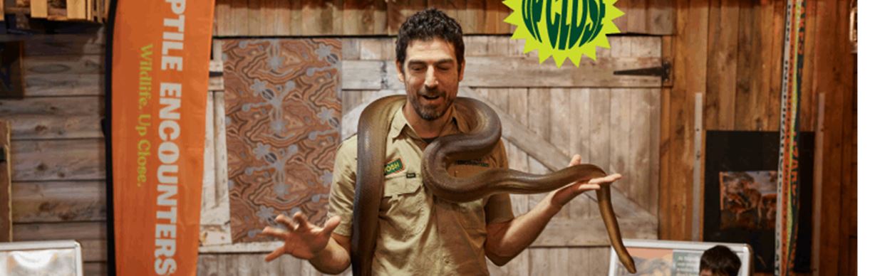 Reptile Encounters - Meet the Rainbow Serpent